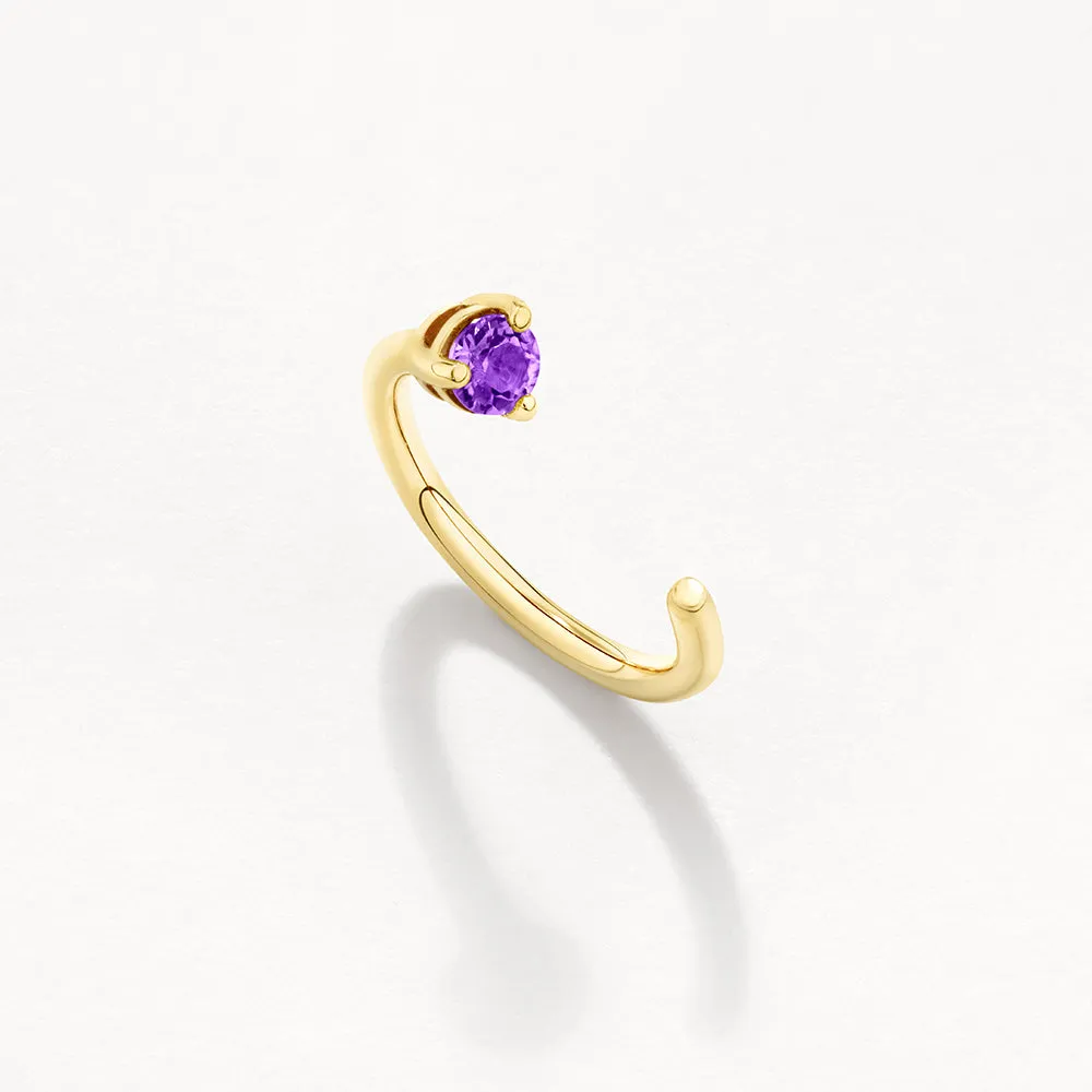 Amethyst February Birthstone Hook Stud Earrings in 10k Gold