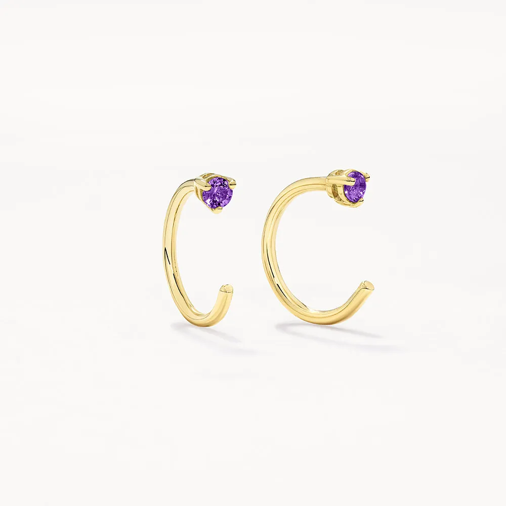 Amethyst February Birthstone Hook Stud Earrings in 10k Gold