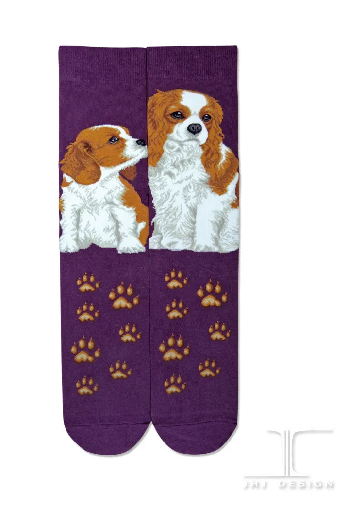 Dogs - Cavslier King Charles One Size