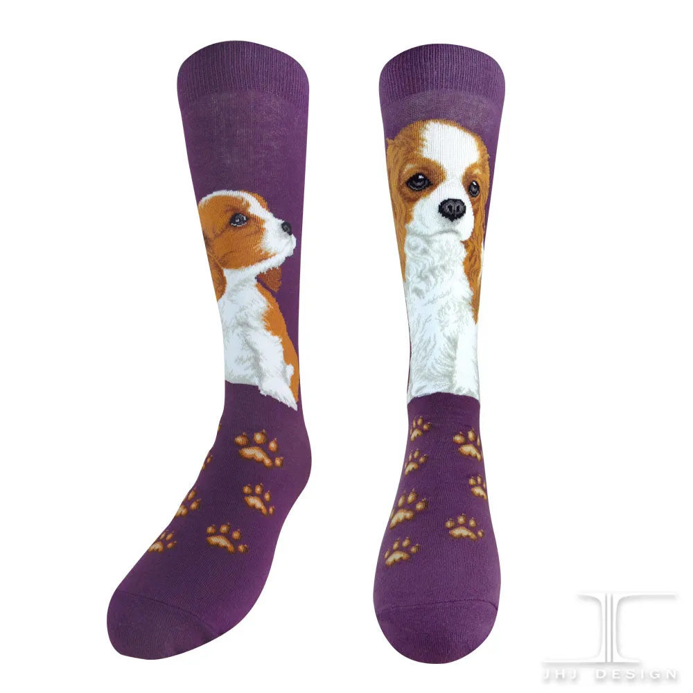 Dogs - Cavslier King Charles One Size