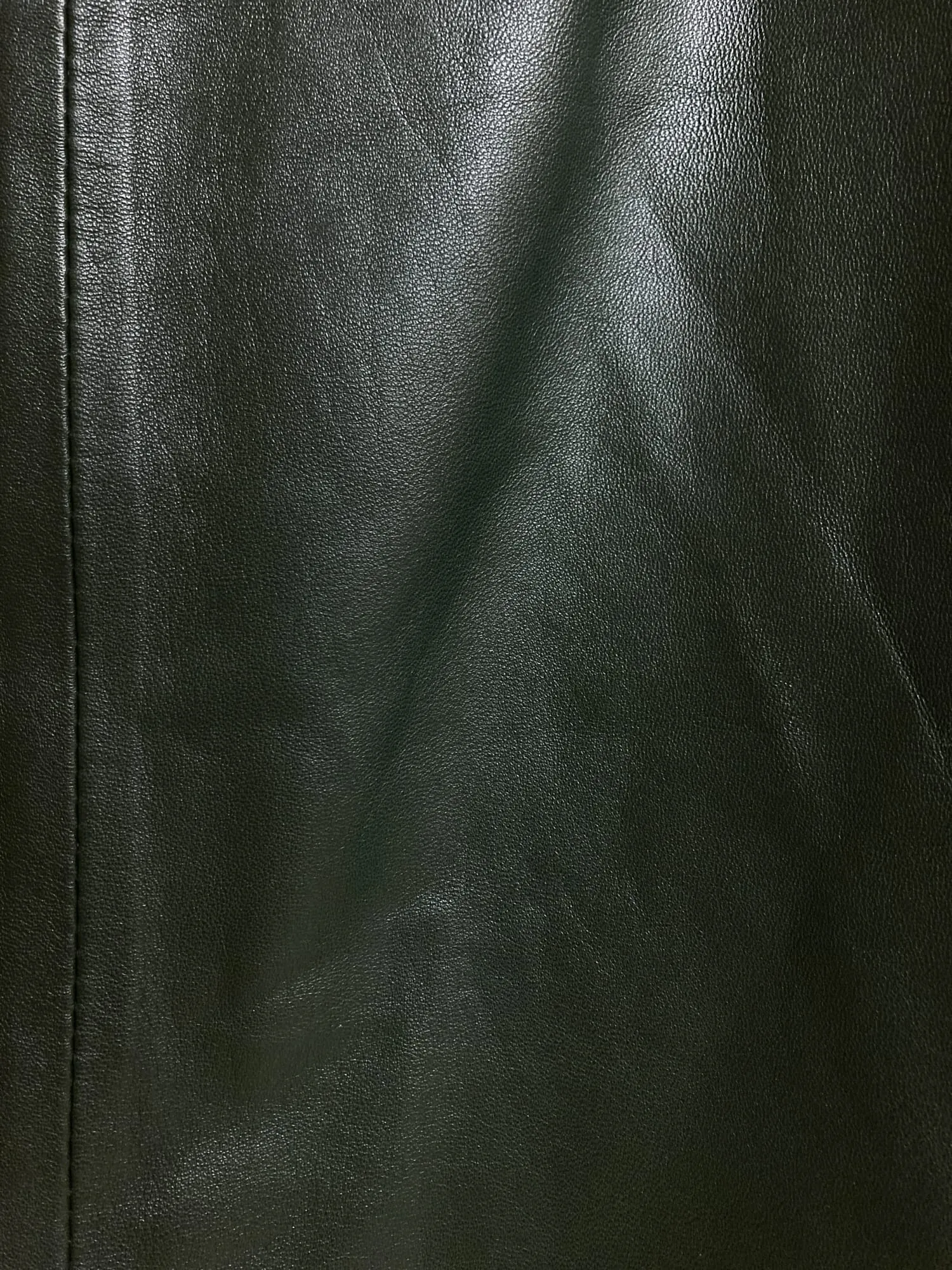 Gianfranco Ferre Studio dark green leather side zip skirt - IT size 28