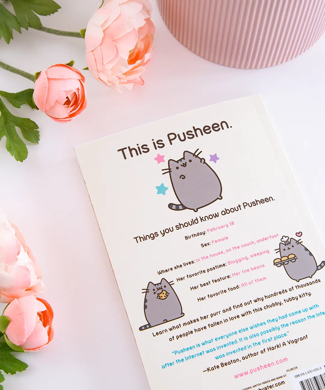 I Am Pusheen the Cat Paperback