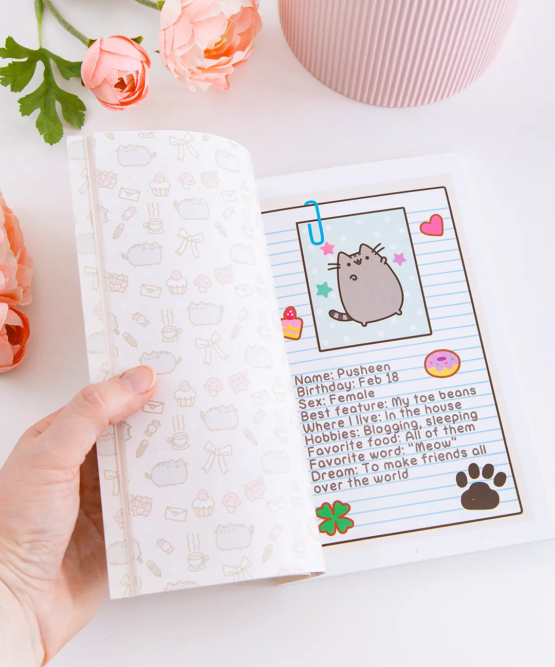 I Am Pusheen the Cat Paperback